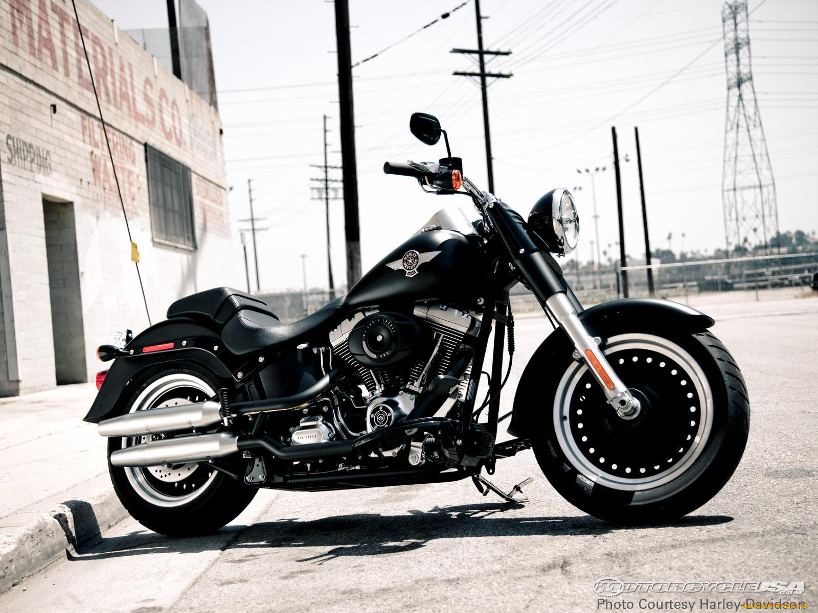 2010, fatboy, lo, , harley, davidson